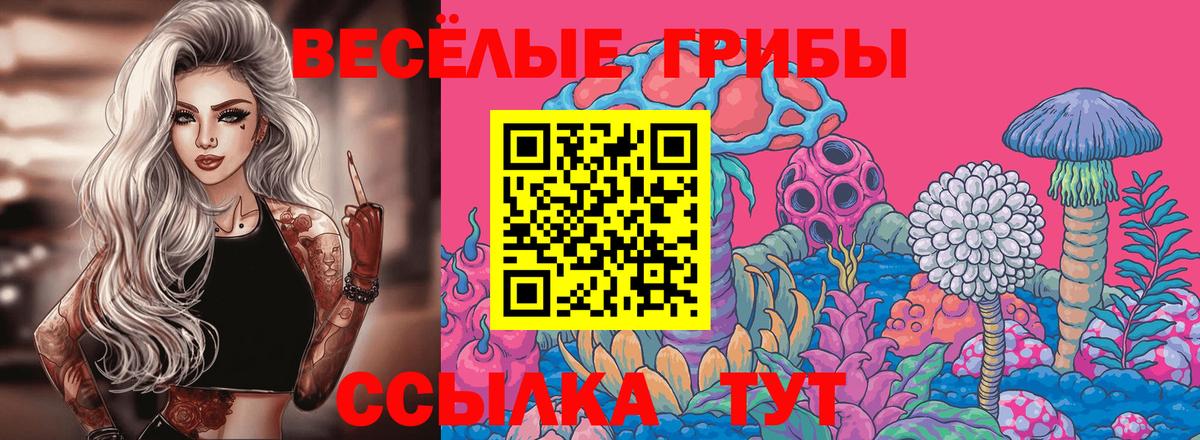 Псилоцибиновые грибы Magic Shrooms Тамбов