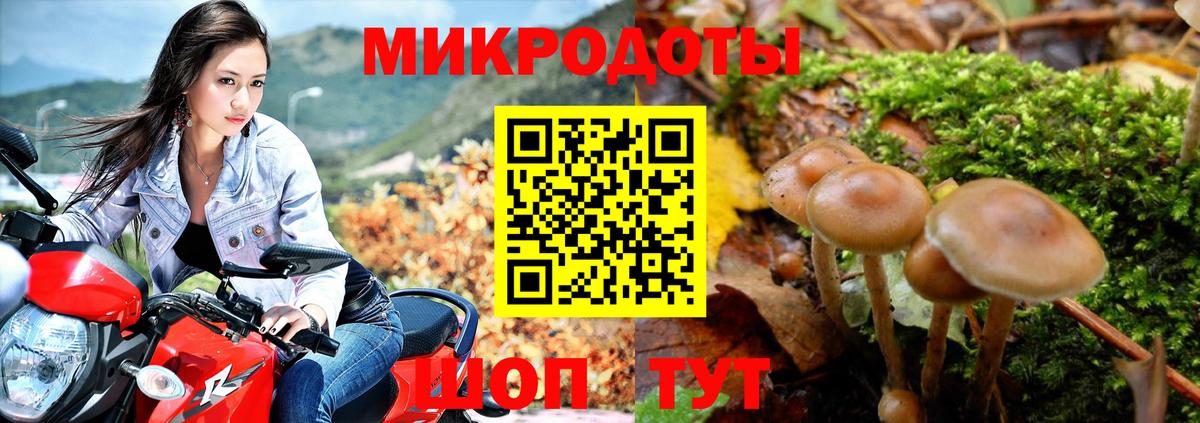 Галлюциногенные грибы ЛСД  Вход с VPN  Тамбов 